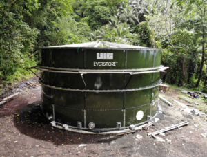 Green Water Storage Tank in jungle with green trees and bushes
