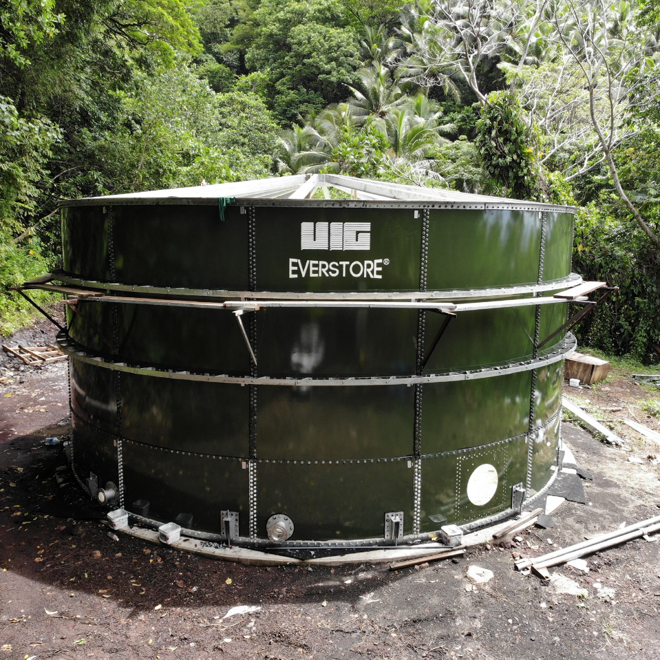 Green Bolted Tank with rafters in the jungle